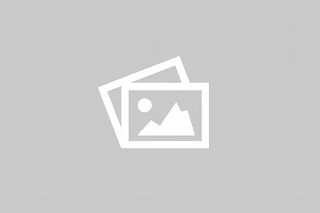 PDF Image